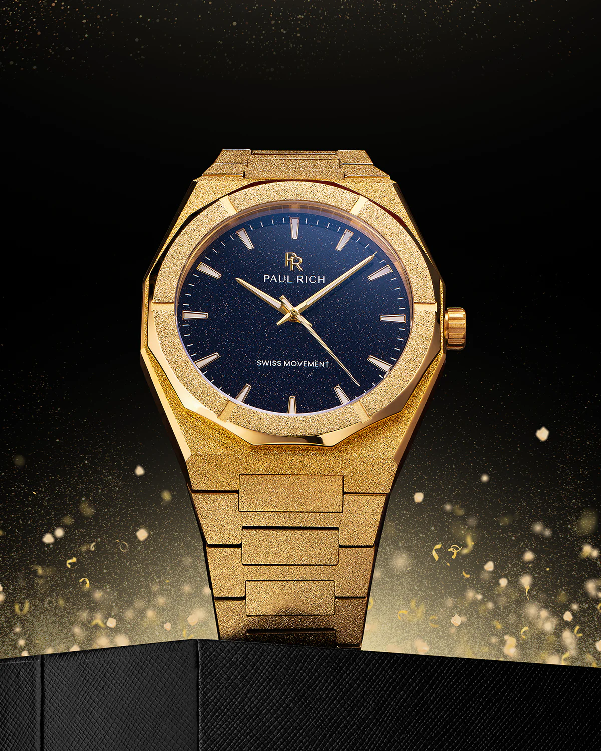 g2024DEC-PAULRICHSDIIFRGOLDBLUE_1135x1362@2x.png